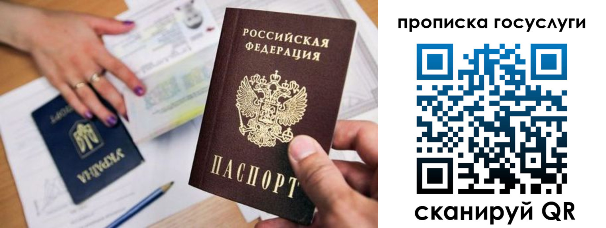 временная прописка в Алексине